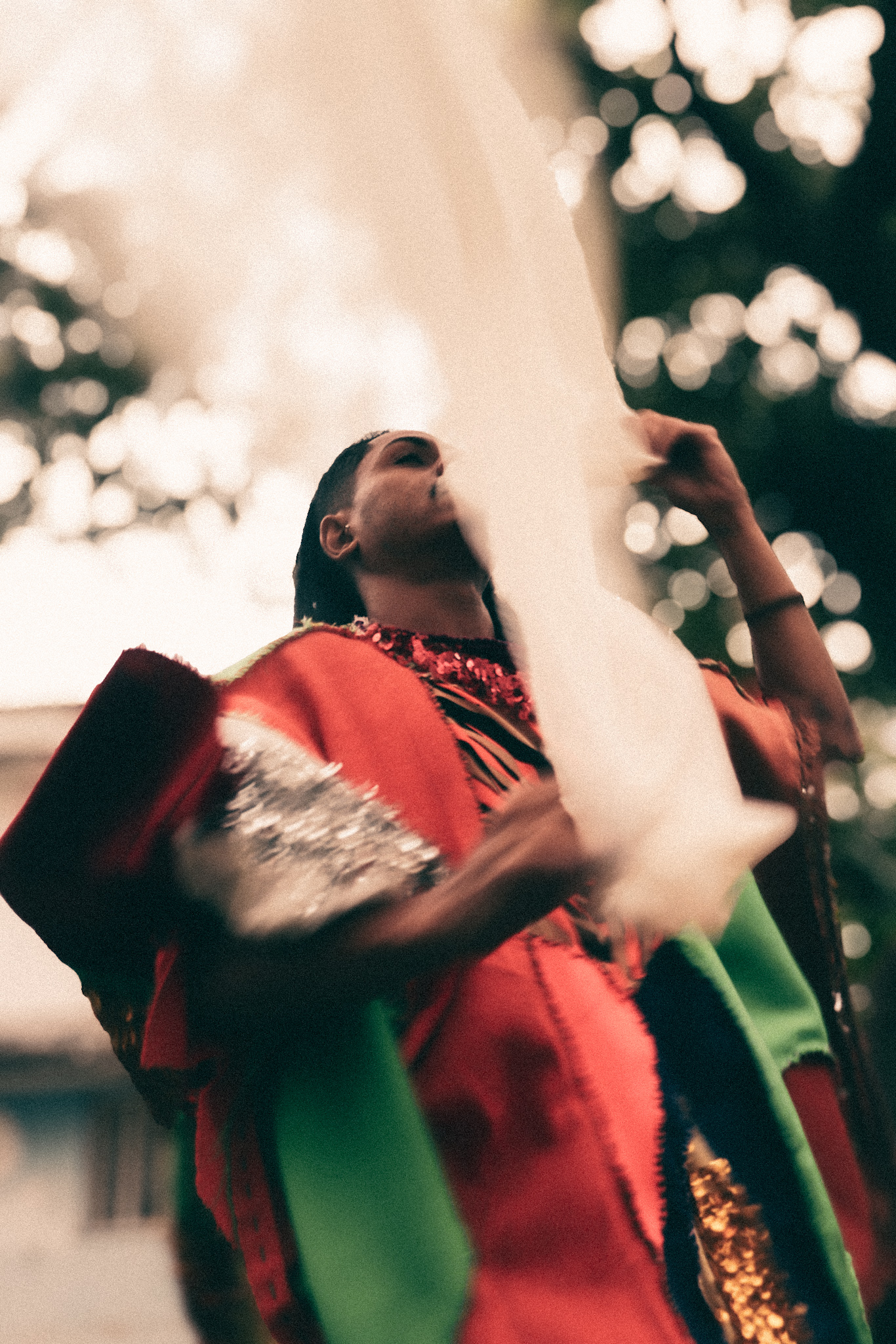 "folia' - políptico - aparição como metodo de pesquisa em arte - fotografia digital